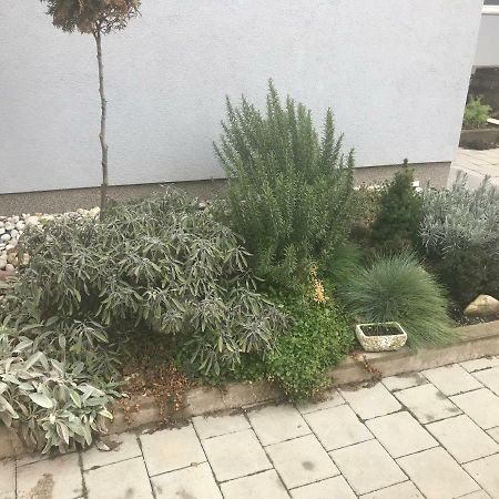 Studio Apartman Valentina Velika Mlaka المظهر الخارجي الصورة