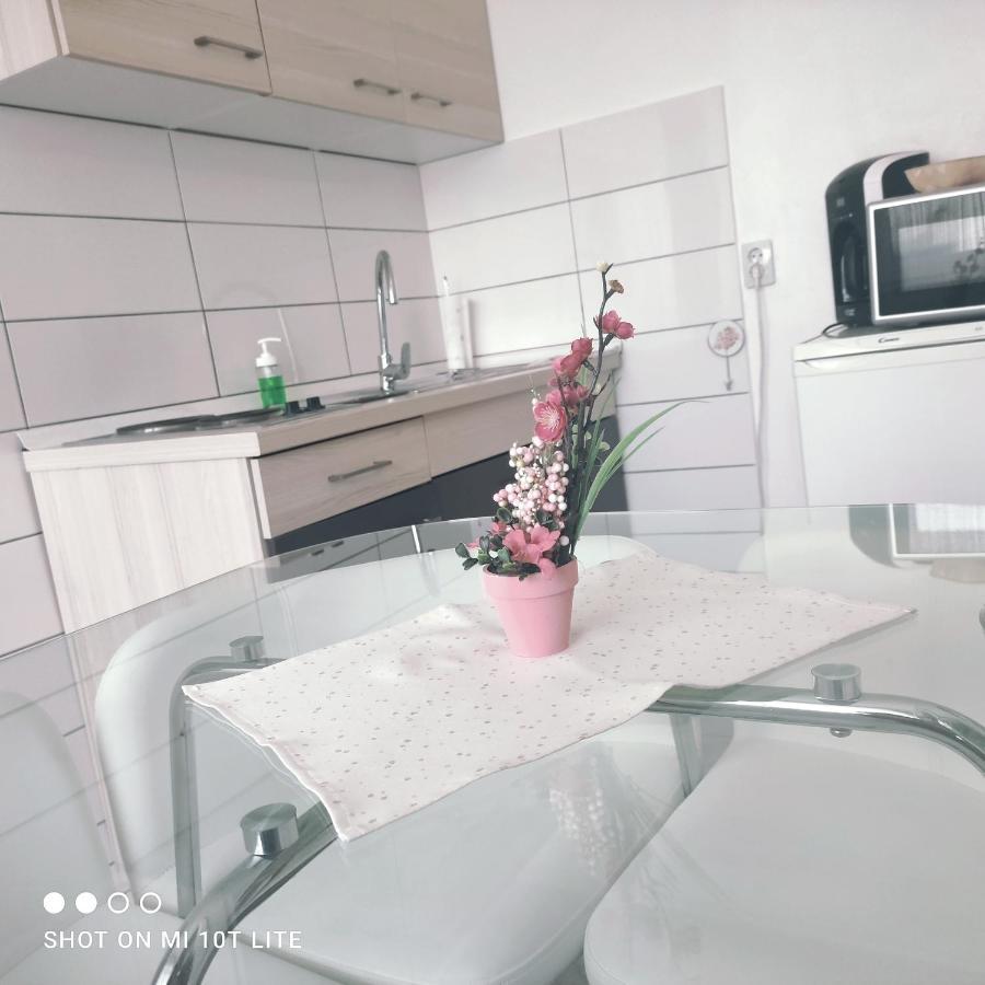 Studio Apartman Valentina Velika Mlaka المظهر الخارجي الصورة