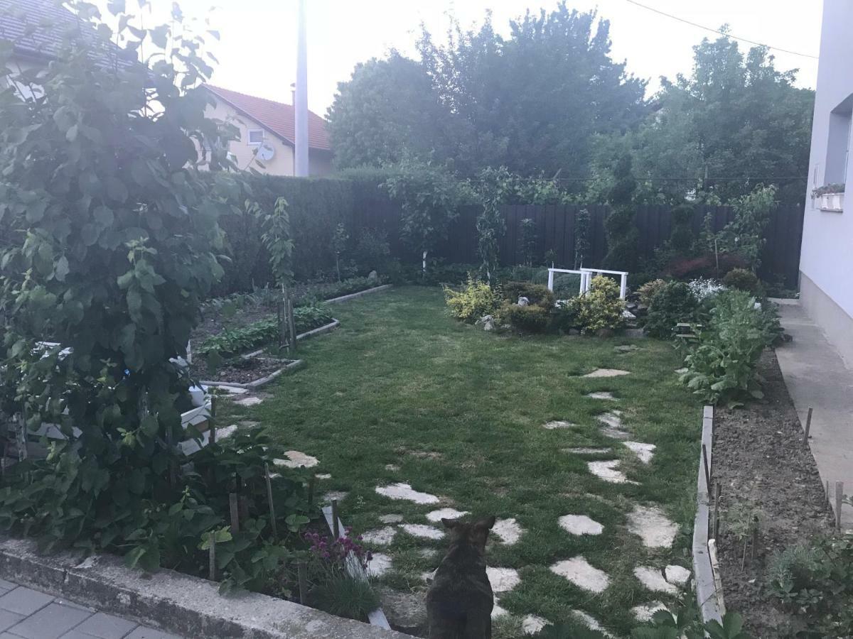 Studio Apartman Valentina Velika Mlaka المظهر الخارجي الصورة